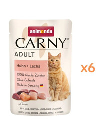 ANIMONDA Carny Adult Pouch Kuracie a losos 6x85g mokré krmivo pre mačky