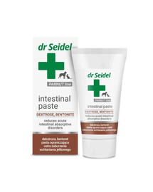 DR SEIDEL Intestinal Paste na črevné poruchy 40 g