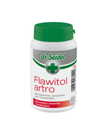 DR SEIDEL Flawitol Artro podpora pre kondíciu kĺbov 180 tbl.