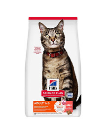 HILL'S Science Plan Feline Adult Salmon 10 kg suchá karma s lososom pre dospelé mačky