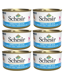 SCHESIR Tuniak s aloe pre mačiatka 6x 85 g