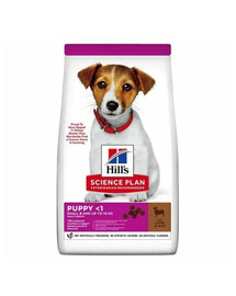 HILL'S Science Plan Puppy Small Mini Lamb and Rice 6 kg z jagnięciną i ryżem, sucha karma dla szczeniąt małych ras