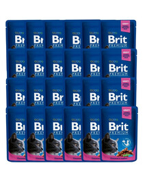 BRIT Premium Adult Mix príchutí 48x100 g kapsičky s kuracím a morčacím mäsom a treskou pre mačky