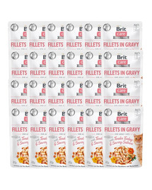 Care Fillets in gravy 24 x 85 g filety indyka i łososia w sosie