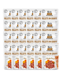 BRIT Care Fillets in Gravy Mix chutí 48 x 85 g kačacích a lososových filetov v omáčke pre mačky
