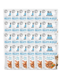 Care Fillets in Jelly indyk i krewetki saszetki dla kota 24 x 85 g