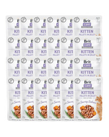 Care Kitten Fillets in Jelly Savory Salmon 24 x 85 g Łosoś