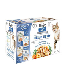BRIT Care Fillets in Jelly and Gravy Cat 24x85g zmes príchutí v želé a omáčke pre mačky