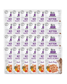 Care Fillets in gravy with tender turkey 24 x 85 g indyk w sosie