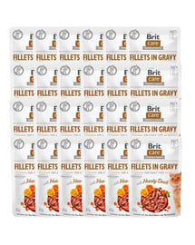 Care Fillets in gravy kaczka 24 x 85 g filety kaczki w sosie