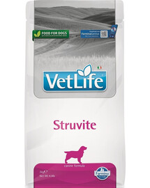 FARMINA Vet Life Struvite Dog 2 kg krmivo pre psov s ochoreniami močových ciest + FARMINA Vet Life Dental Treat Struvite Medium/Maxi 100 g (7 ks) ZADARMO!