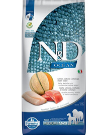 FARMINA N&D Ocean Dog Adult Medium & Maxi 12 kg losos, treska, tekvica, melón kantalup + 2 x FARMINA N&D Quinoa Dental Pack Weight management Medium/Maxi ZADARMO!
