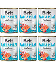 BRIT Pate&Meat Salmon 6x800 g  paštéta s lososom