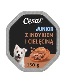 CESAR Junior s morčacím a teľacím mäsom 150g krmivo pre šteniatka