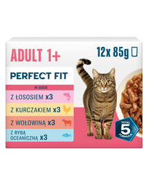 PERFECT FIT Adult 1+ Mix Príchutí 12 x 85g krmivo pre dospelé mačky
