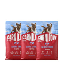 CARNILOVE Active Dog Salmon & Turkey Puppies 3x4 kg losos a morčacie, pre dorastajúce šteniatka
