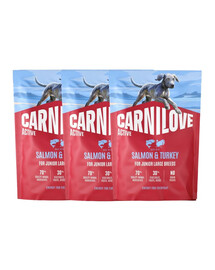 CARNILOVE Active Dog Salmon and Turkey Junior Large Breeds 3x1,5 kg losos a morčacie, pre dorastajúce juniorov veľkých plemien