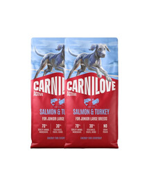 CARNILOVE Active Dog Salmon & Turkey 2x12 kg Junior Large Breeds losos a morčacie, pre dorastajúcich juniorov veľkých plemien