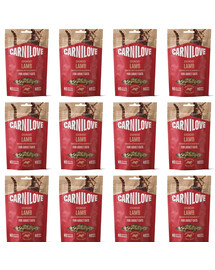 CARNILOVE Crunchy Snack Cat Lamb 12x50 g s jahňacím mäsom a černicami, chrumkavá maškrta pre mačky