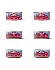 CARNILOVE Cat Can Paté Turkey and Salmon for Kittens 6x100 g s morčacím mäsom a lososom, paštéta pre mačiatka