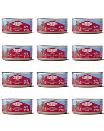 CARNILOVE Cat Can Paté Turkey and Salmon for Kittens 12x100 g s morčacím mäsom a lososom, paštéta pre mačiatka