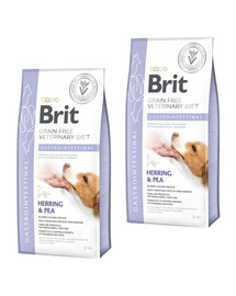 BRIT Veterinary Diets Dog Gastointestinal 2 x 12 kg Bezobilné veterinárne krmivo pre dospelých psov