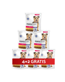 PERFECT FIT Adult 1+ kompletné krmivo pre dospelých psov malých plemien, bohaté na kuracie mäso 6 x 825 g 4+2 ZADARMO