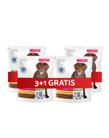 PERFECT FIT Adult 1+ kompletné krmivo pre dospelých psov veľkých plemien, bohaté na kuracie mäso 4 x 825 g 3+1 ZADARMO