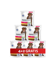 PERFECT FIT Adult 1+ kompletné krmivo pre dospelých psov veľkých plemien, bohaté na kuracie mäso 6 x 825 g 4+2 ZADARMO