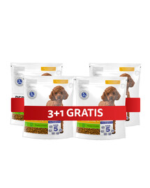 PERFECT FIT Sensitive 1+ kompletné krmivo pre dospelých psov malých plemien, bohaté na morčacie mäso 4 x 825 g 3+1 ZADARMO