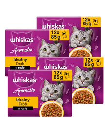 WHISKAS Aromatic Adult Ideálny Hydina v omáčke, 48 x 85 g krmivo pre dospelé mačky
