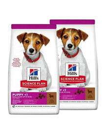 HILL'S Science Plan Puppy Small Mini Lamb and Rice 2x6 kg s jahňacím mäsom a ryžou,krmivo pre šteniatka malých plemien