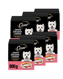 CESAR Adult s kuracím mäsom a lososom 6x800g krmivo pre psov