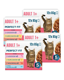 PERFECT FIT Adult 1+ Mix Príchuťou 48 x 85g krmivo pre dospelé mačky