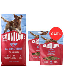 CARNILOVE Active Dog Salmon and Turkey Adult 12 kg losos a morka pre psov + CARNILOVE Dog Crunchy Snack Salmon 2x200g GRATIS