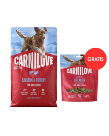 CARNILOVE Active Dog Salmon and Turkey Adult 4 kg losos a morka pre psov + CARNILOVE Dog Crunchy Snack Salmon 200g GRATIS