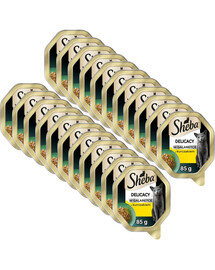 SHEBA Delicacy s kuraťom v želé 22x85 g krmivo pre mačky