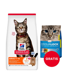 HILL'S Science Plan Feline Adult s jahňacím mäsom 10 kg pre dospelé mačky s jahňacím mäsom + 6 kg podstielky pre mačky ZADARMO