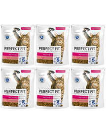 PERFECT FIT Active 1+ 6x750 g sucha karma pełnoporcjowa dla dorosłych kotów bogata w wołowinę
