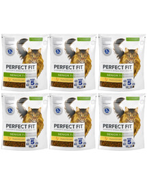 PERFECT FIT Senior 7+ 6x750 g sucha karma pełnoporcjowa dla starszych kotów bogata w kurczaka