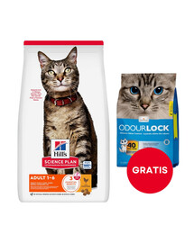 HILL'S Science Plan Feline Adult Optimal Care Chicken 15 kg + podstielka pre mačky 6 kg ZADARMO