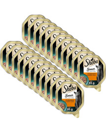 SHEBA Sauce Collection s morkou v bielej omáčke 22x85 g krmivo pre mačky