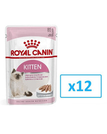 ROYAL CANIN Kitten 12x85g