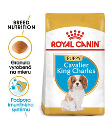 ROYAL CANIN Cavalier King Charles Puppy 1,5 kg granule pre šteňa gavalieršpaniela
