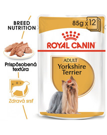 ROYAL CANIN Yorkshire Loaf 12 x 85g