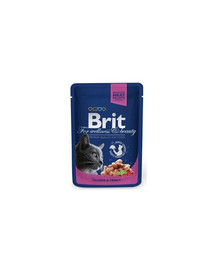 BRIT Premium Cat Adult Pouches with Salmon & Trout Losos a pstruh v omáčke 100 g