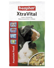 BEAPHAR XtraVital Guinea Pig Krmivo pre Morčatá 1 kg