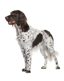 FITMIN Dog Purity Grain free puppy fish 2 kg