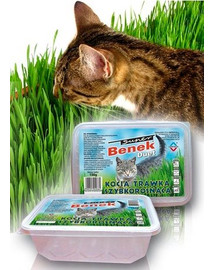 Benek Zásobník na trávu