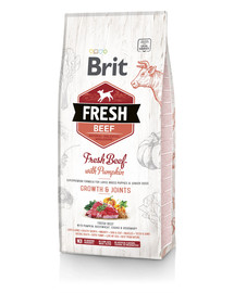 BRIT Dog Fresh Beef & Pumpkin Puppy Large 2,5 kg